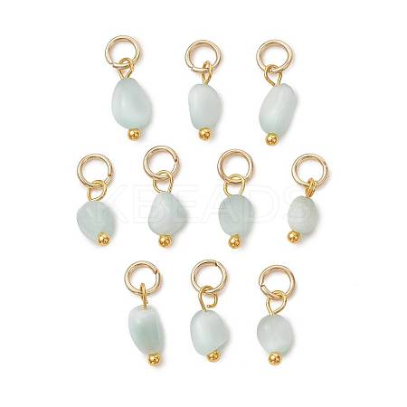 Brass Glass Charms PALLOY-JF05889-1