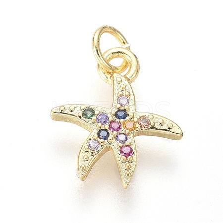 Brass Micro Pave Cubic Zirconia Charms ZIRC-I032-54G-1