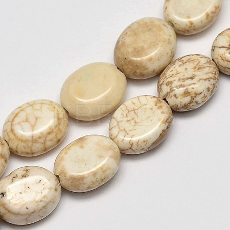 Flat Oval Natural Magnesite Beads Strands G-M138-33-1