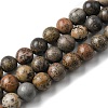 Natural Dendritic Jasper Beads Strands G-E598-01-1
