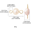 Natural Cultured Freshwater Pearl Connector Charms PALLOY-YW0001-52-3
