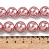 Electroplated Shell Pearl Beads Strands BSHE-G041-14mm-05-2