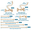  2Pcs Brass Hook and S-Hook Clasps DIY-TA0004-25-3