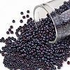 TOHO Round Seed Beads SEED-JPTR11-0705-1