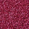 MIYUKI Delica Beads X-SEED-J020-DB2154-3