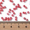 Baking Paint Glass Seed Beads SEED-S042-15A-06-4
