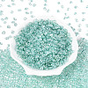 Transparent Colours Luster Glass Seed Beads SEED-N008-09C-2