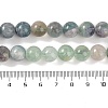 Natural Fluorite Beads Strands G-P530-B04-04-5
