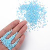 13/0 Glass Seed Beads SEED-T005-14A-A18-5