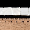Natural Freshwater Shell Beads Strands SHEL-A006-10A-4