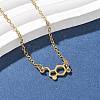 304 Stainless Steel Chemical Symbol Pendant Necklaces NJEW-Z073-03G-04-2