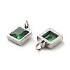 304 Stainless Steel Pendants STAS-D189-01P-A-4