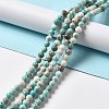 Natural Magnesite Beads Strands G-L555-02B-02-4