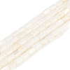 Natural Freshwater Shell Beads Strands BSHE-H109-17A-1