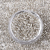 Glass Seed Beads SEED-S042-04B-06-2