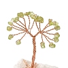 Natural Peridot Chips Tree of Life Decorations DJEW-P022-01B-08-2