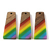 Pride Rainbow Theme Resin & Walnut Wood Pendants WOOD-K012-10B-1
