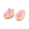 Flocking Opaque Resin Pendants RESI-F064-A09-2