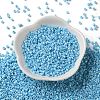 Baking Paint Glass Seed Beads X-SEED-S042-15A-10-2