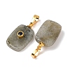 Natural Labradorite Pendants G-P628-01G-04-2