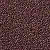 MIYUKI Round Rocailles Beads SEED-X0055-RR0301-3