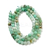 Natural Chrysoprase Beads Strands G-P503-4MM-03-3