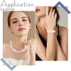 1 Strand Natural Rose Quartz Stone Beads Strands G-BBC0001-19-5