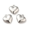 Non-Tarnish 304 Stainless Steel Pendants LS-STAS-H172-01P-3