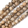 Natural Feldspar Beads Strands X-G-S259-26-6mm-5