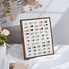 50-Slot Wooden Photo Frame Earring Organizer Display Stands with Velvet Mat ODIS-SC0001-10-4
