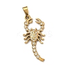 304 Stainless Steel Pendants STAS-F336-12G-01-1