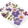 Pressed Dried Flowers DIY-YWC0001-102-4