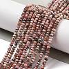 Natural Argentina Rhodonite Beads Strands G-C052-10-01-2