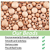300Pcs 6 Styles Beech Wood European Large Hole Beads WOOD-PH0002-80-4