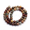 Natural Polychrome Jasper/Picasso Stone/Picasso Jasper Round Bead Strands G-J303-16-6mm-2