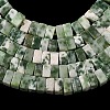 Natural Green Spot Jasper Beads Strands G-A280-C14-01-5