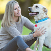 Transparent Blank Acrylic Pet Dog ID Tag PALLOY-AB00040-7