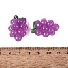 Imitation Jelly Effect Acrylic Beads OACR-N126-08A-3