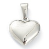 304 Stainless Steel Pendants STAS-P278-01Z-P-2