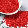 Baking Paint Glass Seed Beads SEED-P006-03A-10-1