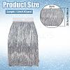 Polyester & Aluminum Foil Fringe Trimmings DIY-WH0588-03B-2