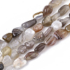 Natural Botswana Agate Beads Strands LS-G-S363-043-1