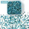 60G(672pcs) Natural Apatite Chip Beads G-YW0001-83-2