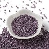 Baking Paint Glass Seed Beads X-SEED-S042-15A-14-2
