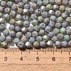 Picasso Baking Paint Glass Seed Beads SEED-A032-02A-16-4