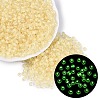 FGB Grade A Transparent Glass Seed Beads SEED-Q040-03A-10-1