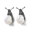 Snail White Natural Conch Shell Fossil Brooch Pin JEWB-A020-02AS-01-1
