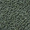MIYUKI Round Rocailles Beads X-SEED-G007-RR0501-2