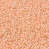 MIYUKI Delica Beads SEED-J020-DB0067-3