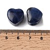 Natural Sodalite European Beads G-C269-01M-3